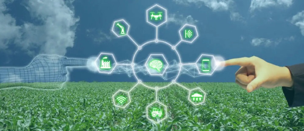 Smart Agriculture IoT (1).jpg