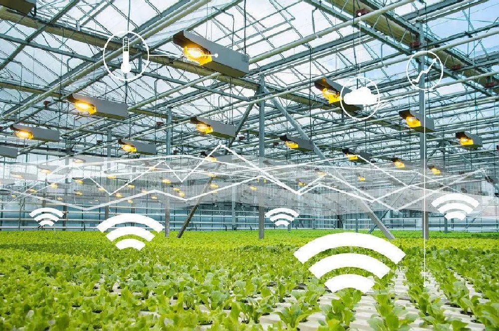 Smart Agriculture (2).jpg